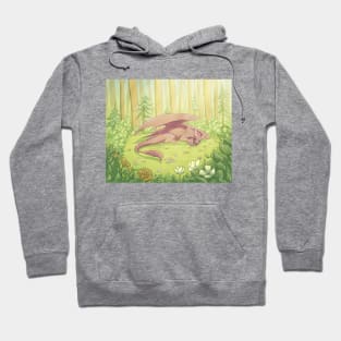 Sleeping Beauty Hoodie